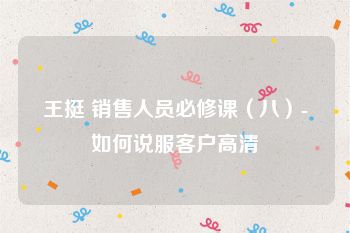 王挺 销售人员必修课（八）-如何说服客户高清