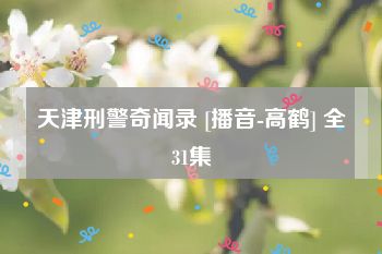 天津刑警奇闻录 [播音-高鹤] 全31集