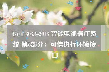 GY/T 303.6-2018 智能电视操作系统 第6部分：可信执行环境接口