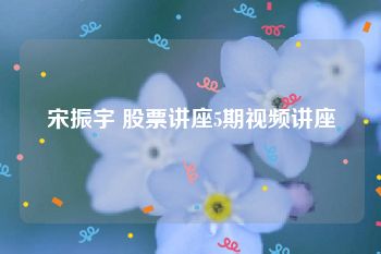 宋振宇 股票讲座5期视频讲座