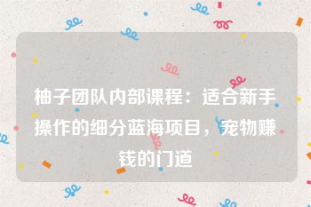 柚子团队内部课程：适合新手操作的细分蓝海项目，宠物赚钱的门道