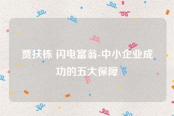 贾扶栋 闪电富翁-中小企业成功的五大保障