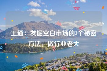 王通：发掘空白市场的3个秘密方法，做行业老大