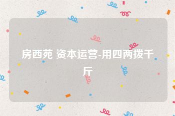 房西苑 资本运营-用四两拨千斤