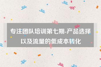 专注团队培训第七期-产品选择以及流量的低成本转化
