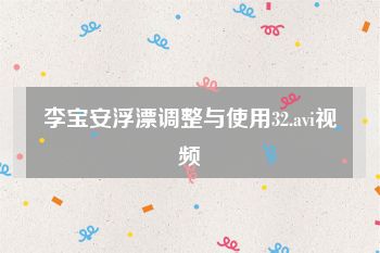 李宝安浮漂调整与使用32.avi视频