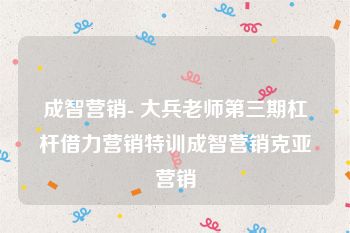 成智营销- 大兵老师第三期杠杆借力营销特训成智营销克亚营销