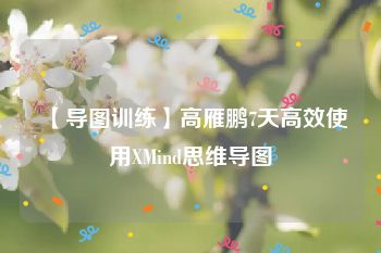 【导图训练】高雁鹏7天高效使用XMind思维导图