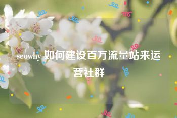 seowhy 如何建设百万流量站来运营社群