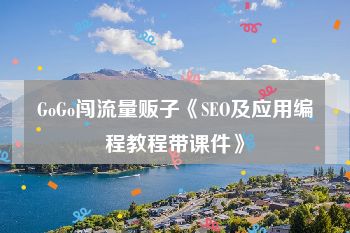 GoGo闯流量贩子《SEO及应用编程教程带课件》