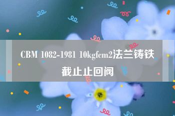 CBM 1082-1981 10kgfcm2法兰铸铁截止止回阀