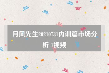 月风先生20210731内训篇市场分析 1视频