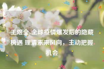 王煜全-全球疫情爆发后的隐藏机遇 理清未来风向，主动把握机会