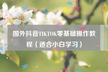 国外抖音TIKTOK零基础操作教程（适合小白学习）