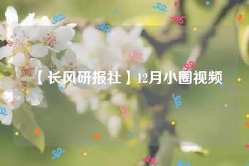 【长风研报社】12月小圈视频