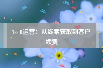 To B运营：从线索获取到客户续费