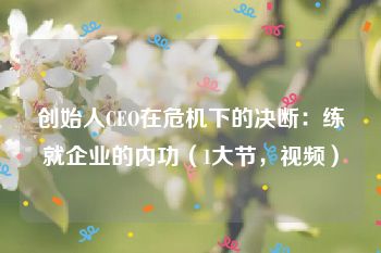 创始人CEO在危机下的决断：练就企业的内功（1大节，视频）