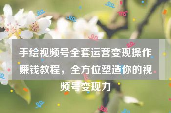 手绘视频号全套运营变现操作赚钱教程，全方位塑造你的视频号变现力