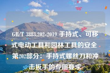 GB/T 3883.202-2019 手持式、可移式电动工具和园林工具的安全 第202部分：手持式螺丝刀和冲击扳手的专用要求