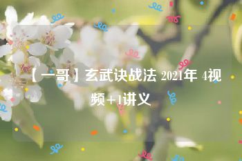 【一哥】玄武诀战法 2021年 4视频+1讲义