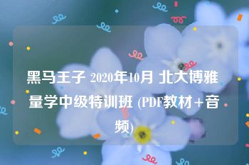 黑马王子 2020年10月 北大博雅 量学中级特训班 (PDF教材+音频)