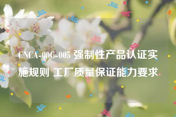 CNCA-00C-005 强制性产品认证实施规则 工厂质量保证能力要求