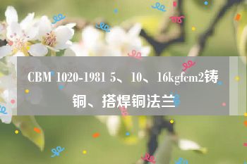 CBM 1020-1981 5、10、16kgfcm2铸铜、搭焊铜法兰