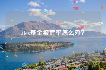 alex基金被套牢怎么办？