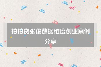 拍拍贷张俊数据维度创业案例分享