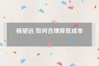 杨望远 如何合理降低成本