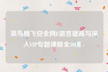 菜鸟腾飞安全网E语言提高与深入VIP专题课程全30课 -