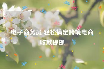 电子商务员 轻松搞定跨境电商收款提现