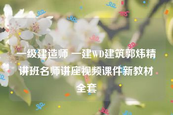 一级建造师 一建WD建筑郭炜精讲班名师讲座视频课件新教材全套