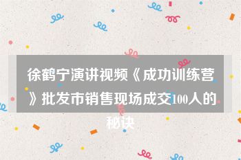 徐鹤宁演讲视频《成功训练营》批发市销售现场成交100人的秘诀