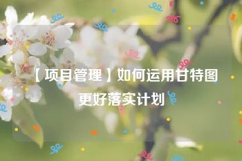 【项目管理】如何运用甘特图更好落实计划