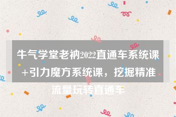 牛气学堂老衲2022直通车系统课+引力魔方系统课，挖掘精准流量玩转直通车