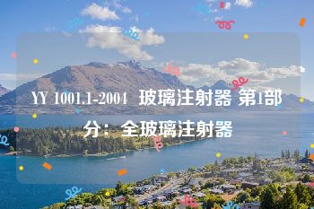 YY 1001.1-2004  玻璃注射器 第1部分：全玻璃注射器