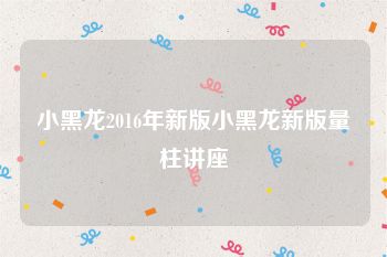 小黑龙2016年新版小黑龙新版量柱讲座