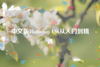 中文版Photoshop CS6从入门到精通
