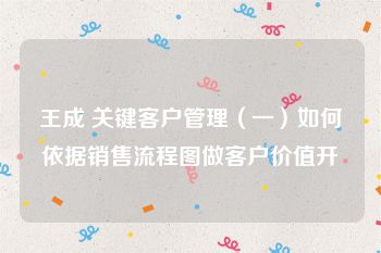 王成 关键客户管理（一）如何依据销售流程图做客户价值开