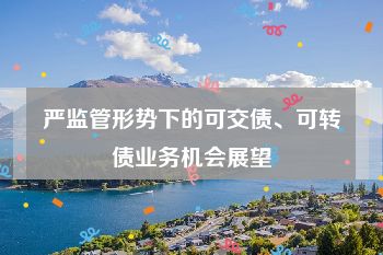 严监管形势下的可交债、可转债业务机会展望