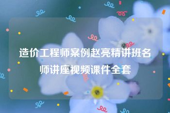 造价工程师案例赵亮精讲班名师讲座视频课件全套