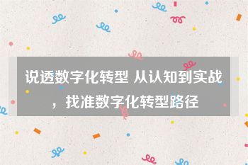 说透数字化转型 从认知到实战，找准数字化转型路径