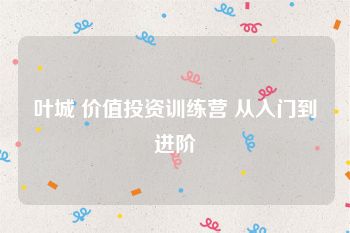 叶城 价值投资训练营 从入门到进阶