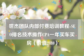 世杰团队内部付费培训教程-SEO排名技术操作CPA一年买车买房（价值2480）