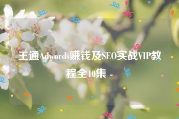 王通Adwords赚钱及SEO实战VIP教程全10集 -