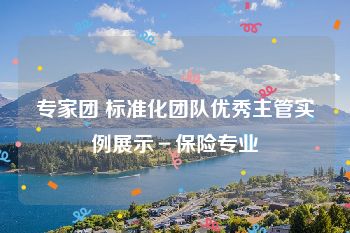 专家团 标准化团队优秀主管实例展示－保险专业