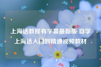 上海话教程有字幕最新版 自学上海话入门到精通视频教材