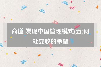 商道 发现中国管理模式(五)何处安放的希望