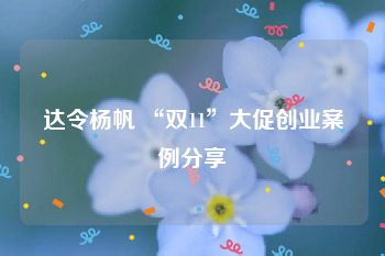 达令杨帆 “双11”大促创业案例分享